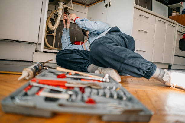 Best Plumbing Inspection Services  in Lochearn, MD