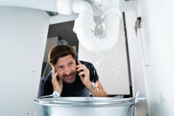 Best Pipe Repair Near Me  in Lochearn, MD