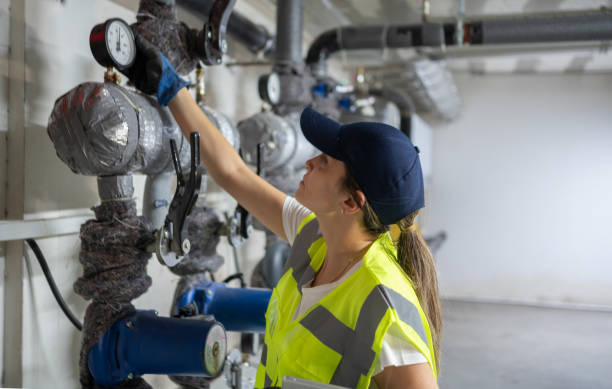 Best Residential Plumbing Services  in Lochearn, MD